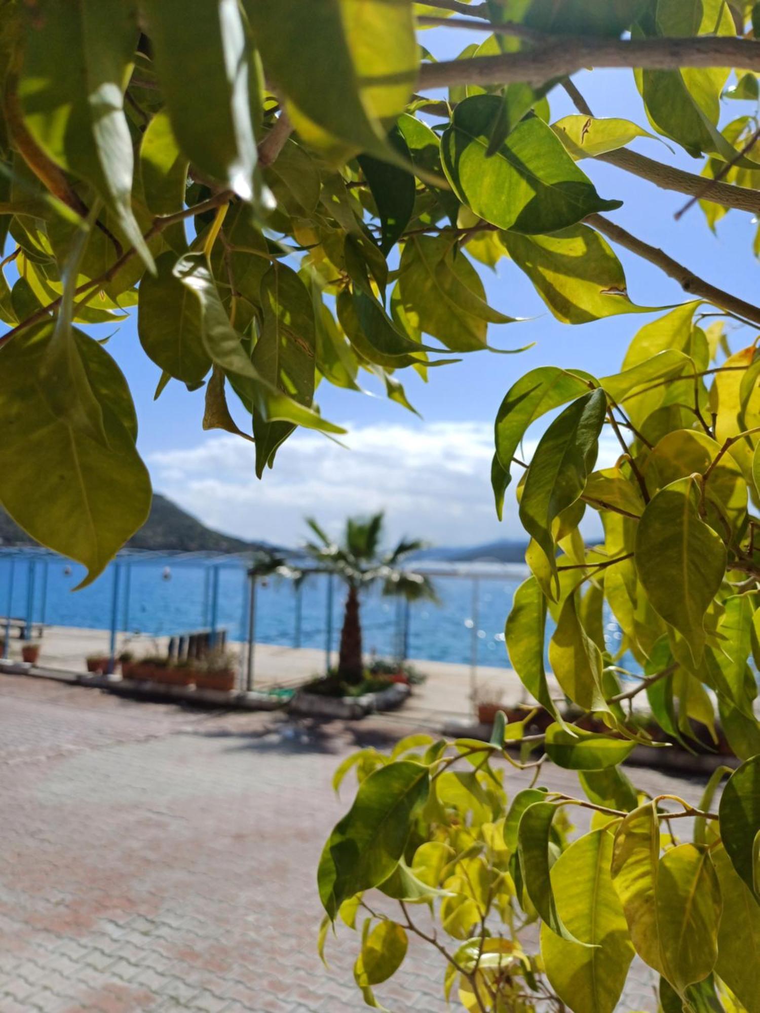 Yazici Otel Bozburun มาร์มาริส ภายนอก รูปภาพ